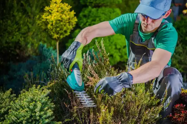 landscaping services Eastwood